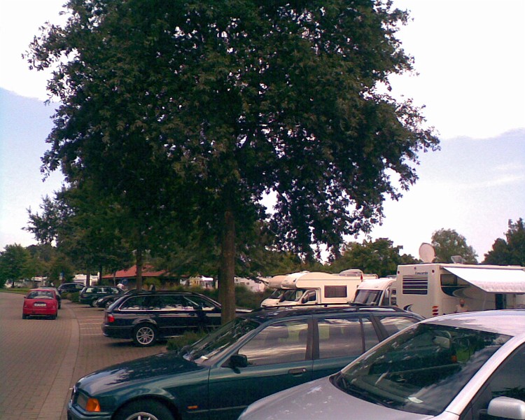 Stellplatz-Steinhuder-Meer 8 (2).jpg